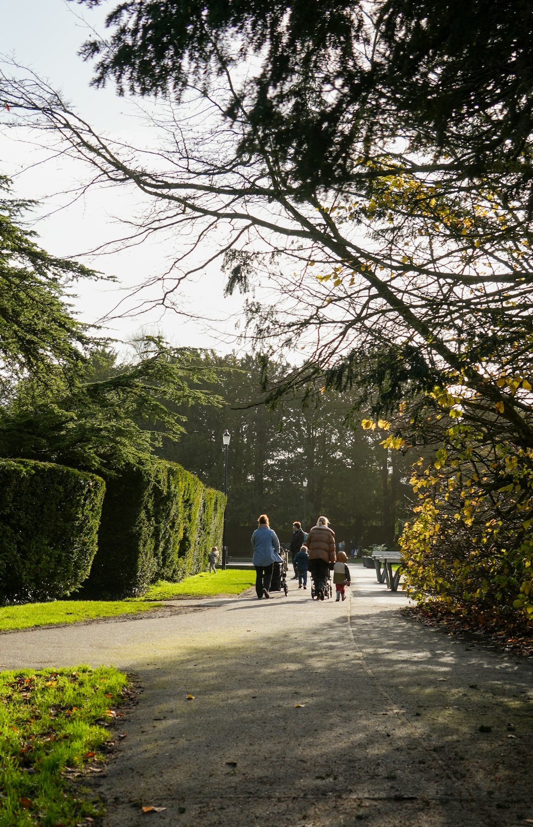 seniors walking in park